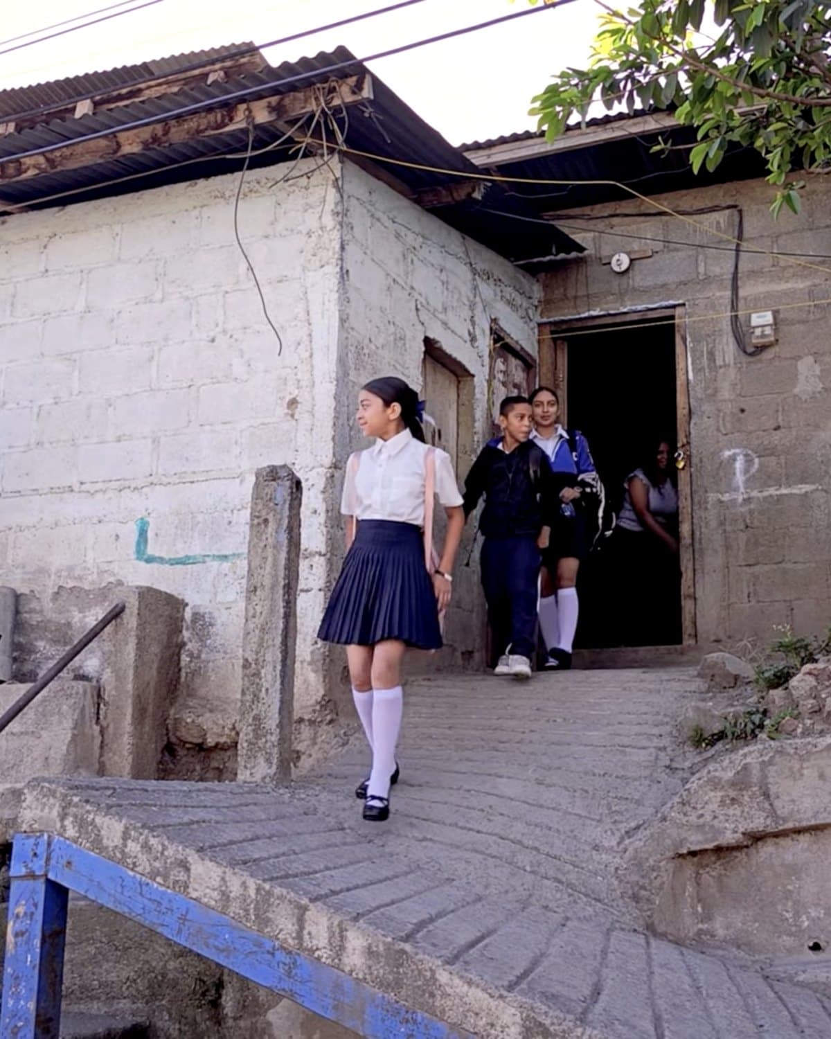 Primary and high school